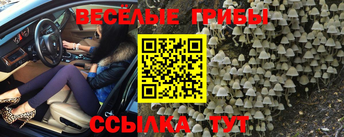 Галлюциногенные грибы Psilocybine cubensis  Вход с VPN  Можайск 